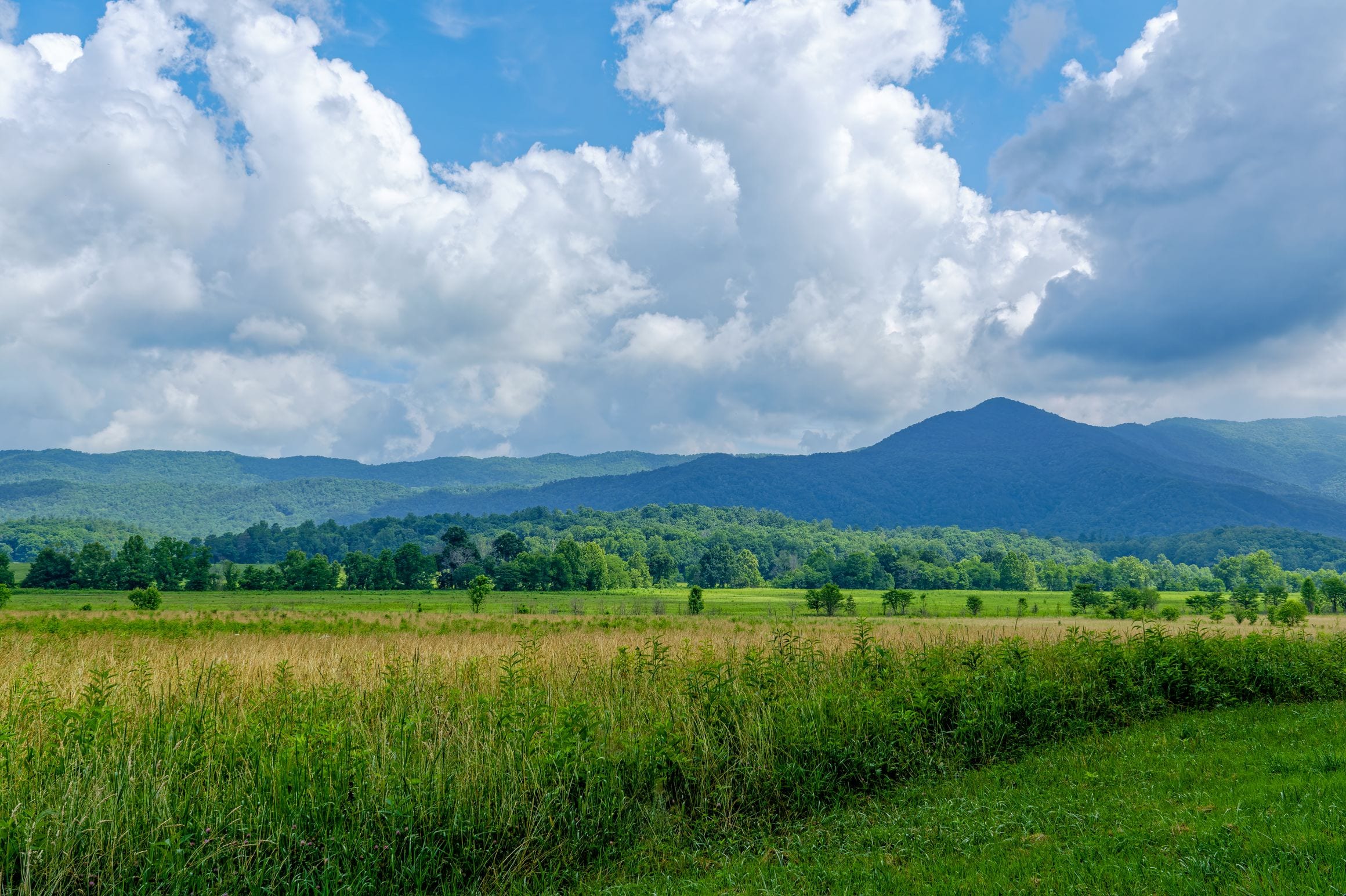 Summer meadows of Cades Cove below forested ridges and billowing clouds in Great Smoky Mountains National Park, Tennessee