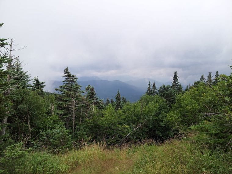 New Hampshire Audubon