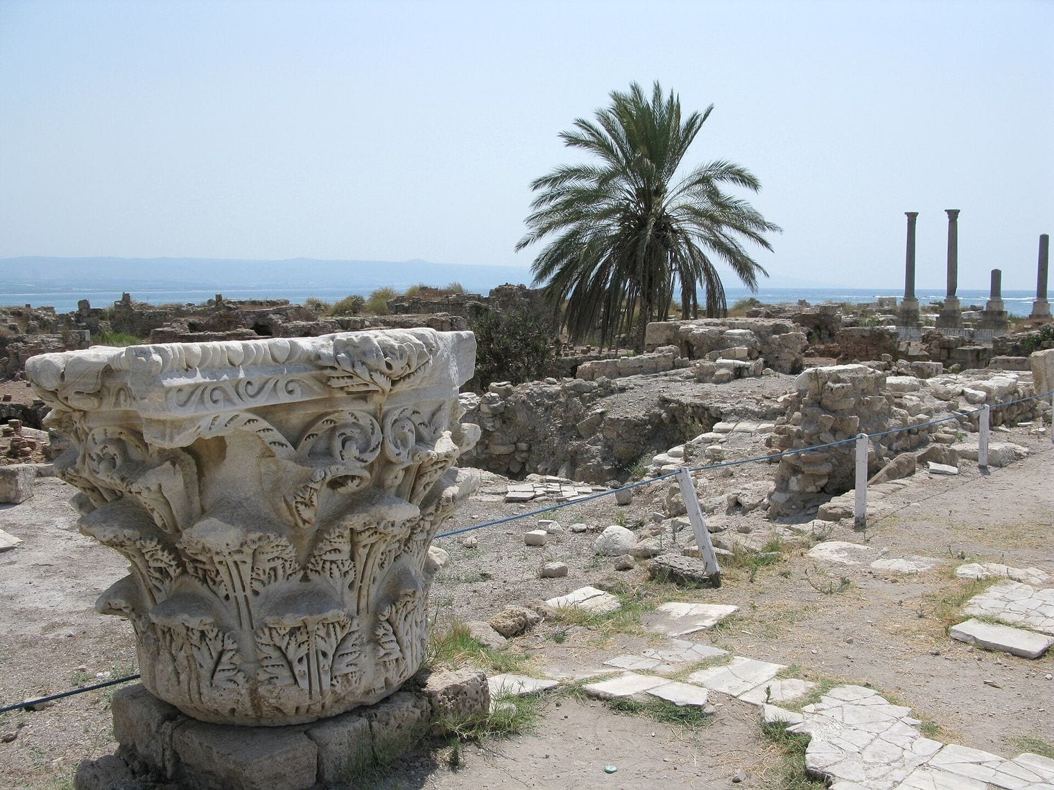 Tyre, World
