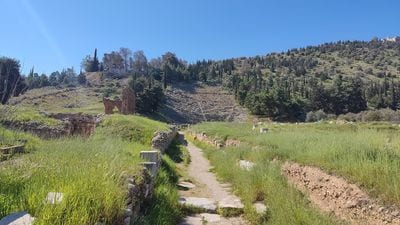 Argos