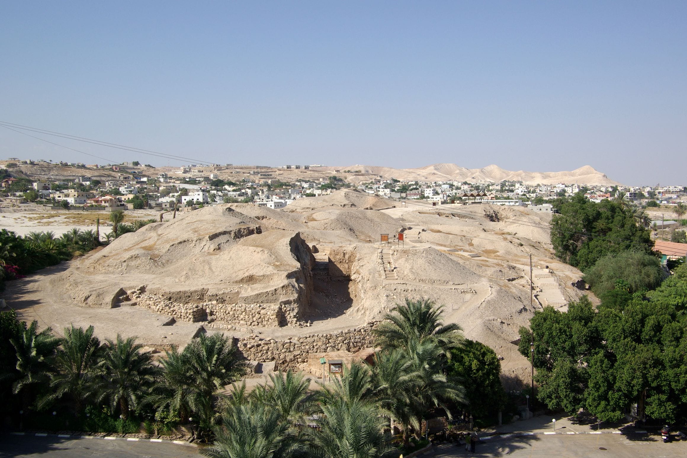 The excavated mound of Tell es-Sultan, ancient Jericho, ringed by palms with the modern West Bank city of Jericho spreading behind