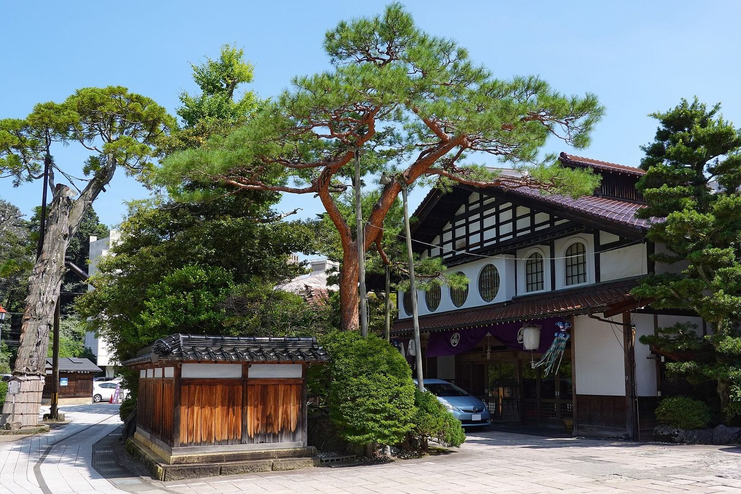 A broad pine shading the tiled gable and round windows of Hoshi Ryokan at Awazu Onsen, its purple curtain hung across the entrance