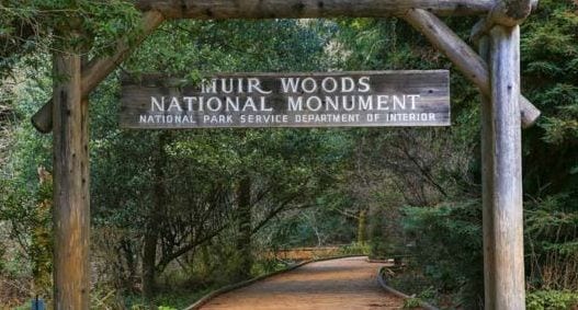 Muir Woods National Monument, California
