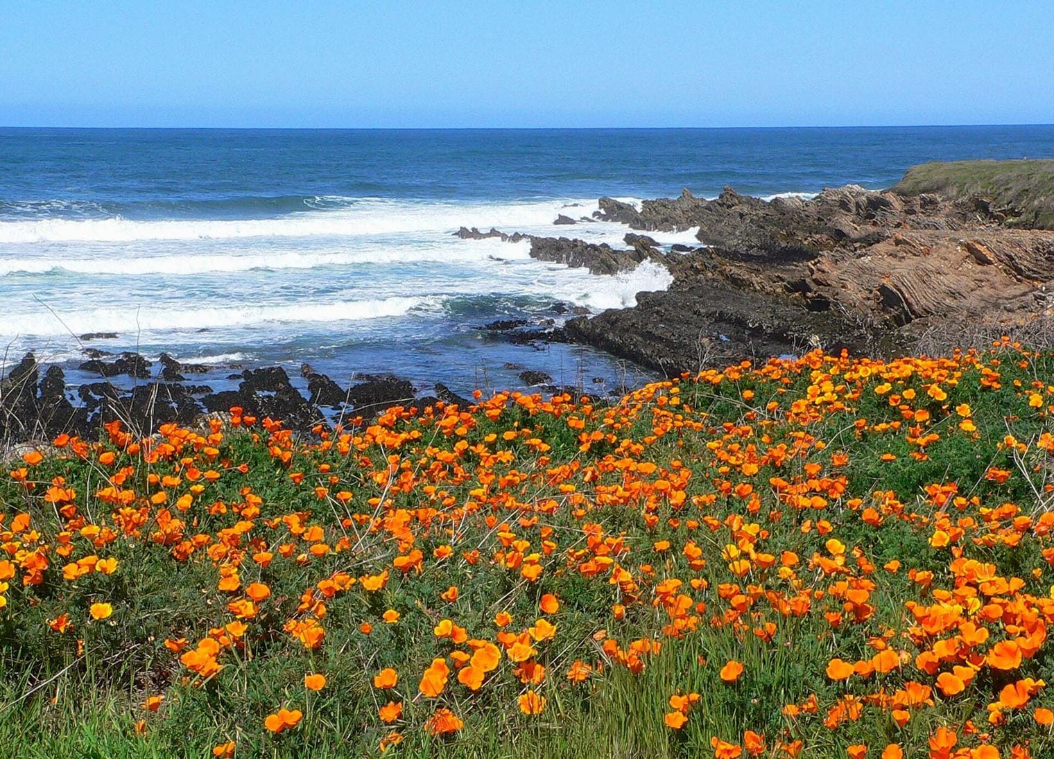 Montaña de Oro State Park, California