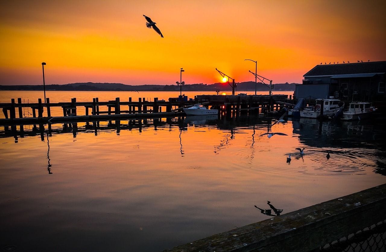 Bodega Bay, California