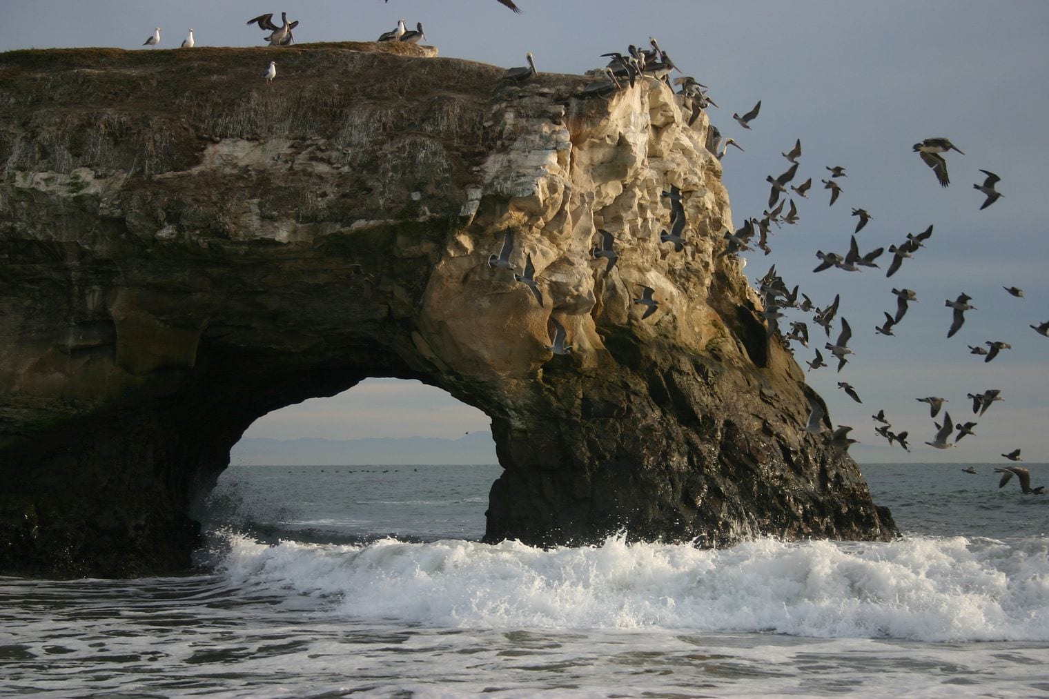 Natural Bridges State Beach, California