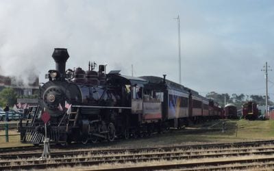 Skunk Train