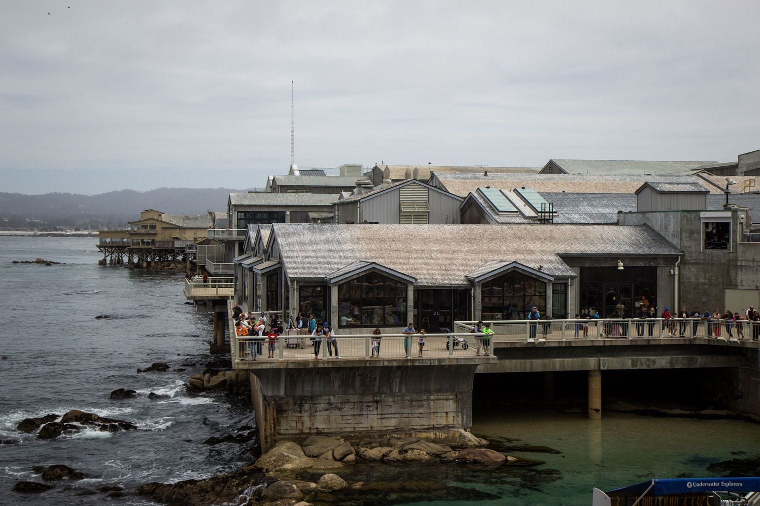 Monterey Bay Aquarium, California
