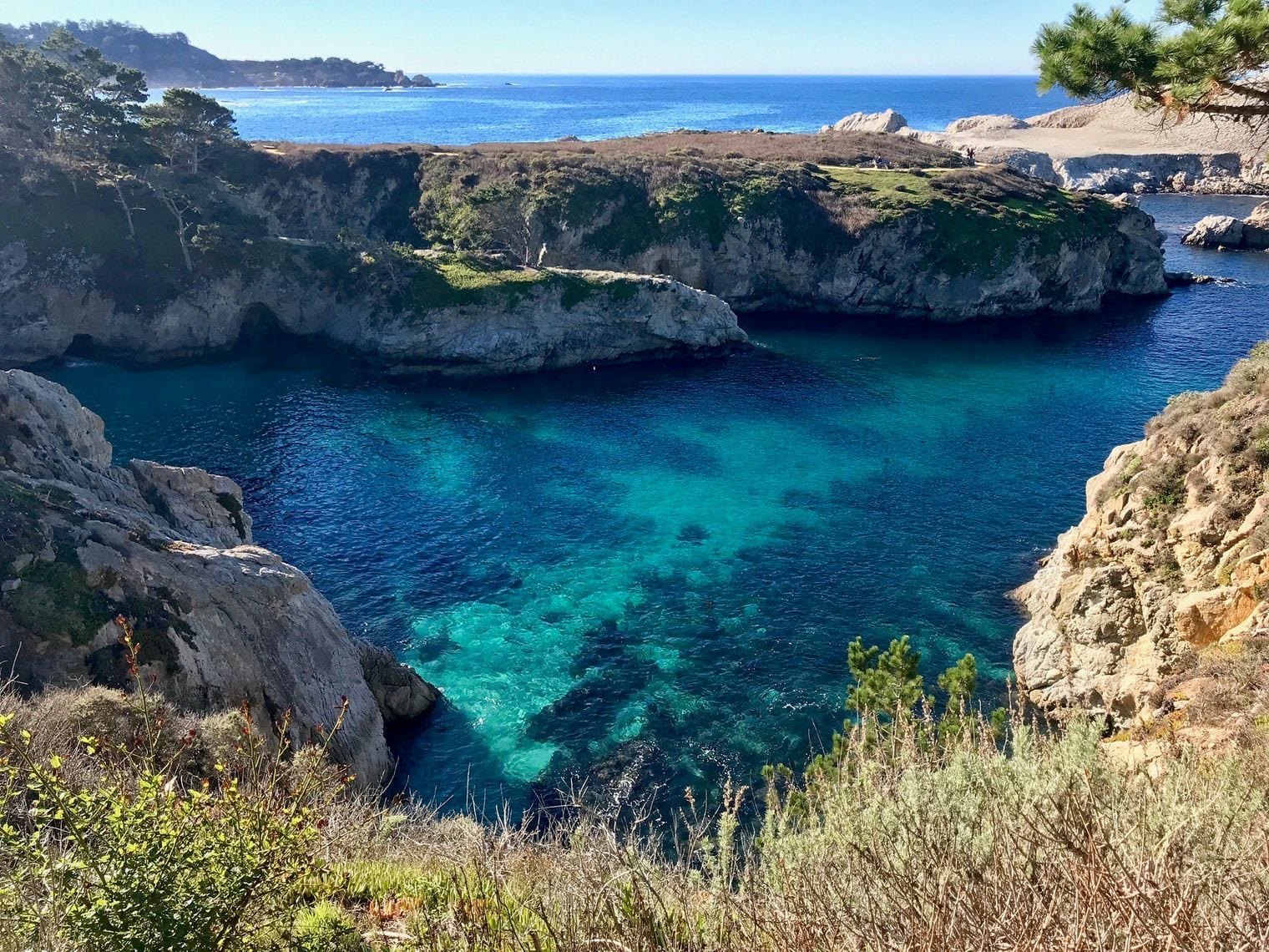 Point Lobos State Natural Reserve, California