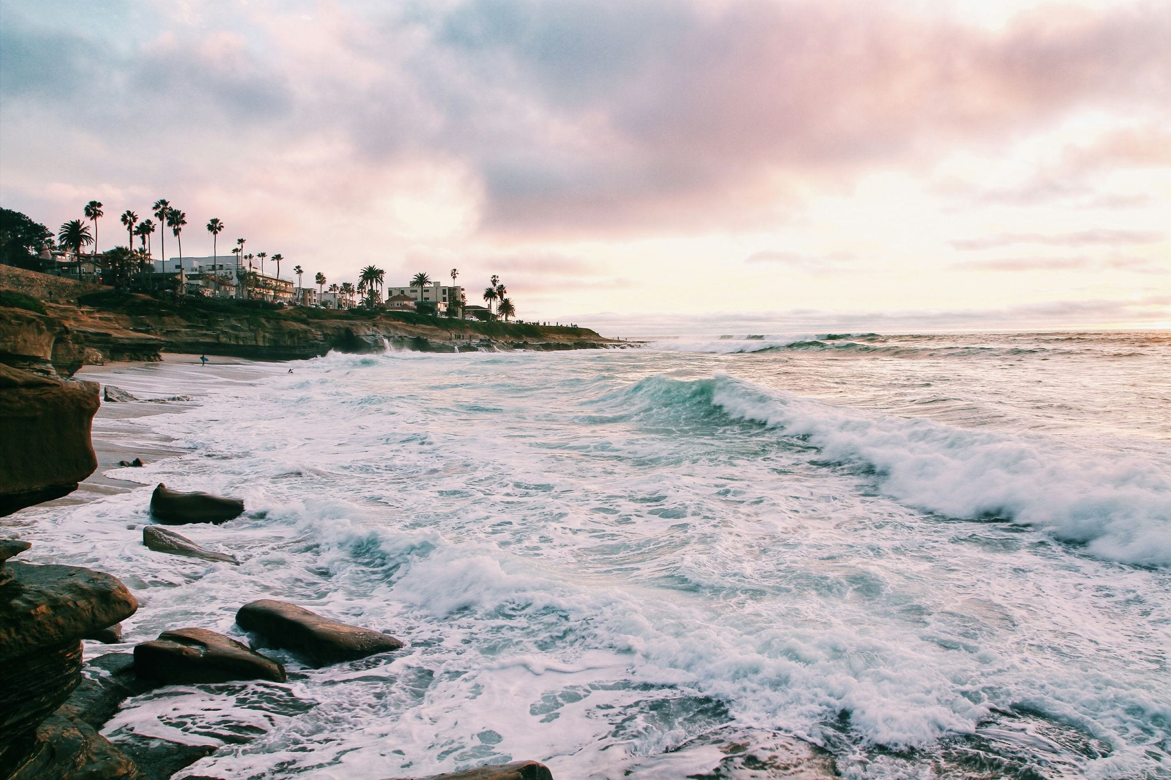 Sunlit California coastline with palm trees and hills