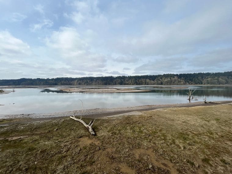 Billy Frank Jr. Nisqually National Wildlife Refuge
