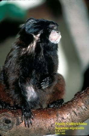 Brandywine Zoo, Wilmington, Delaware