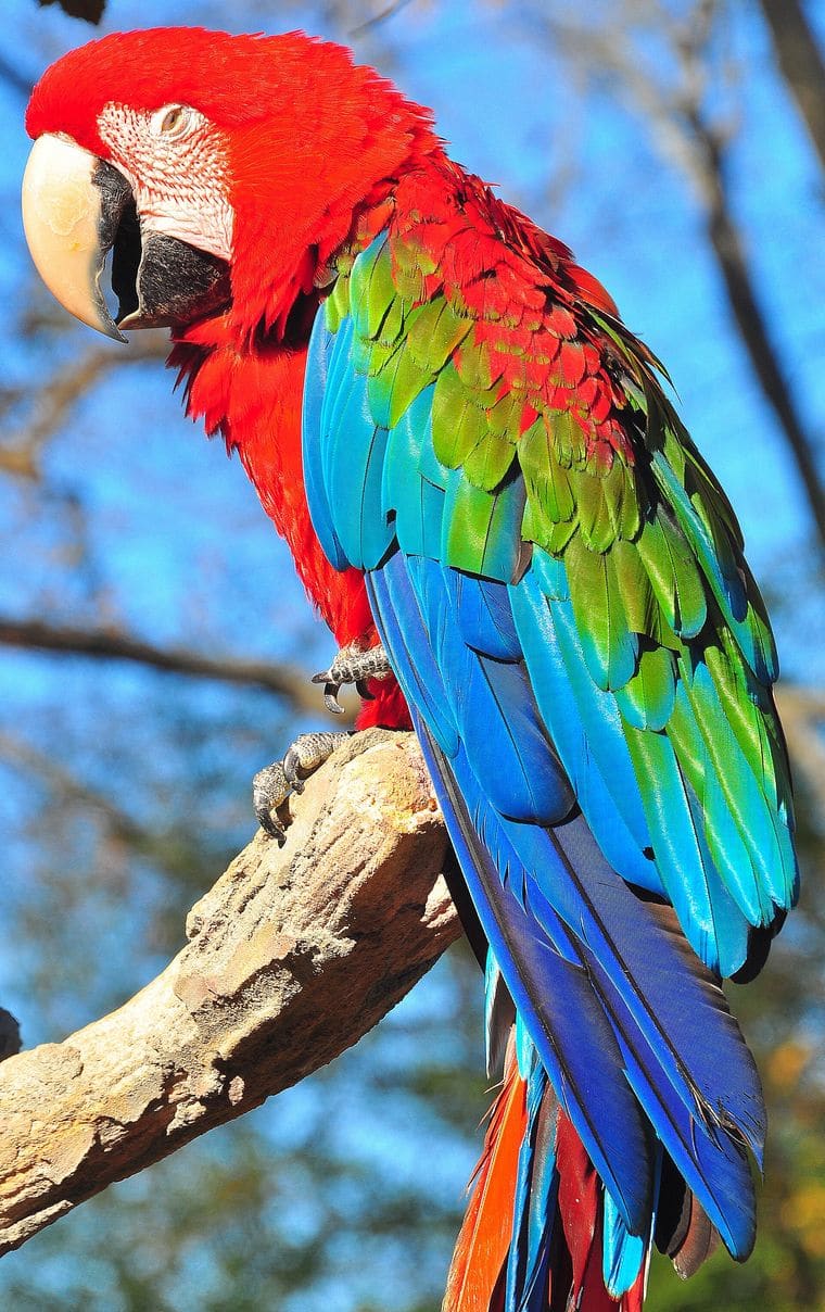 Caldwell Zoo