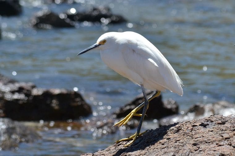 Donnelley Wildlife Management Area