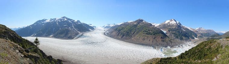 Exit Glacier Salmon Bake