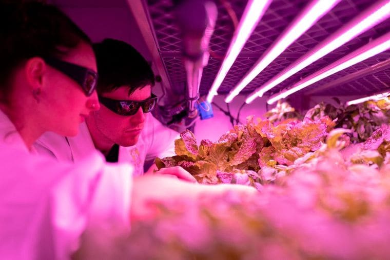Farm + Food Lab