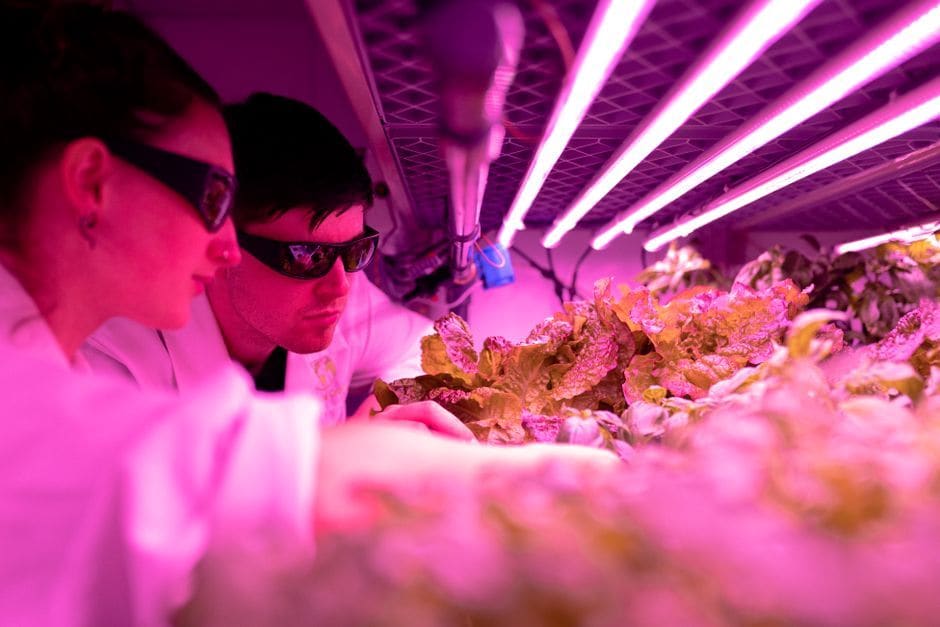 Farm + Food Lab, Irvine, California