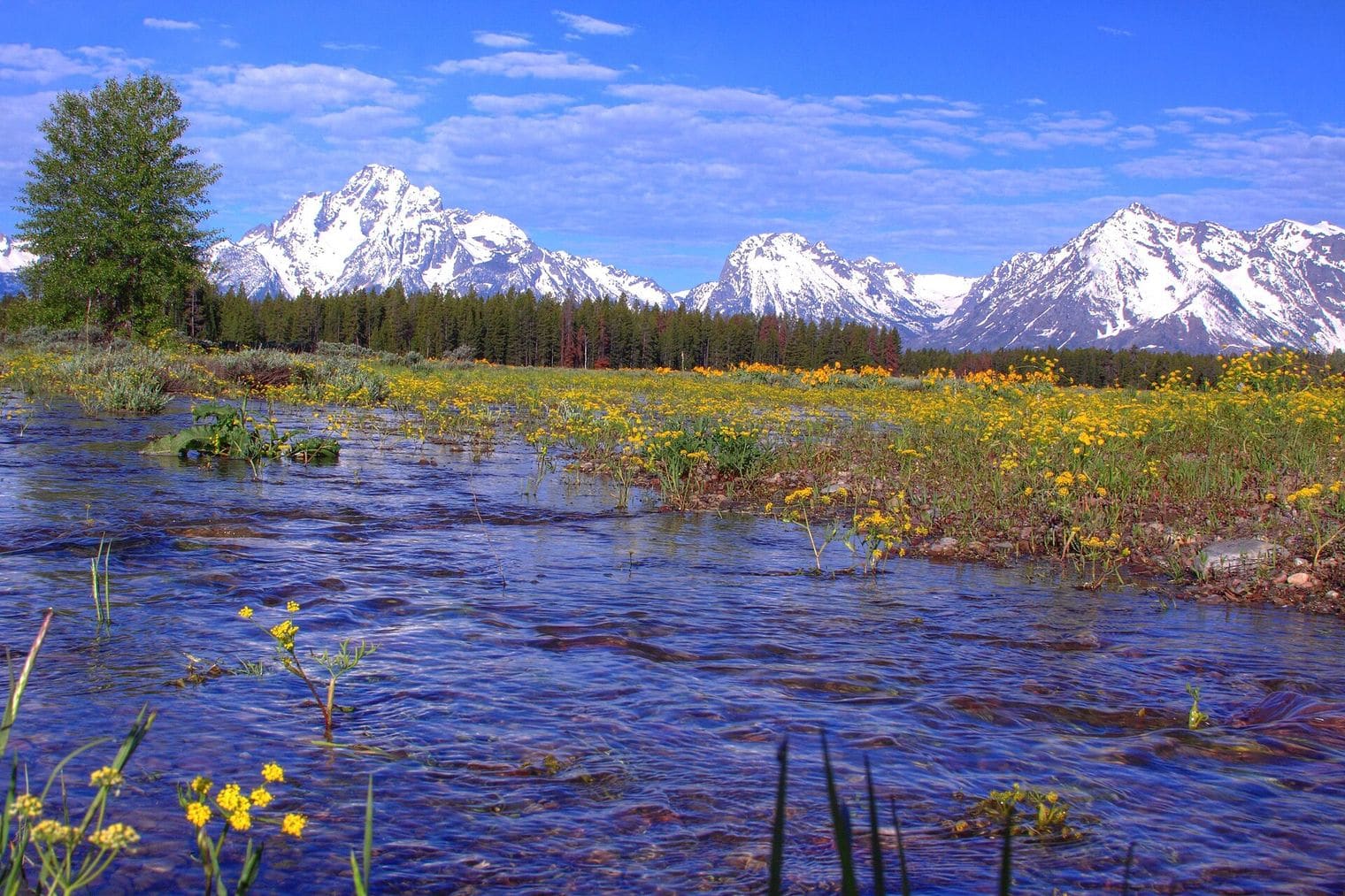 Grand Teton National Park, Idaho Falls, Idaho