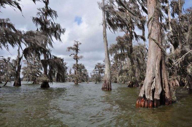 Lake Martin
