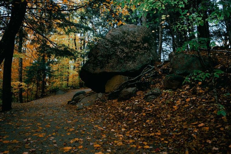 Lincoln Woods State Park