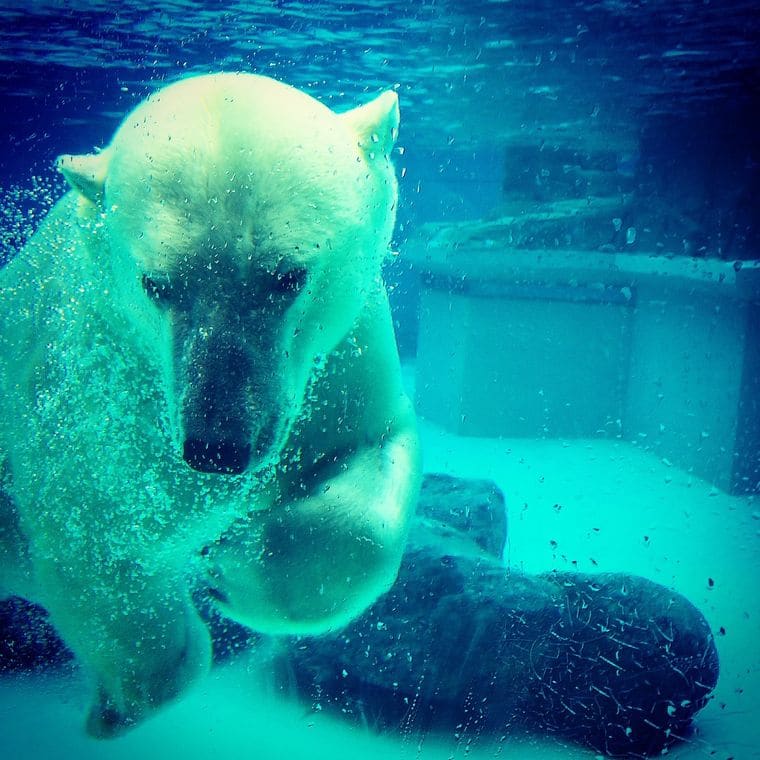 Manitowoc Lincoln Park Zoo