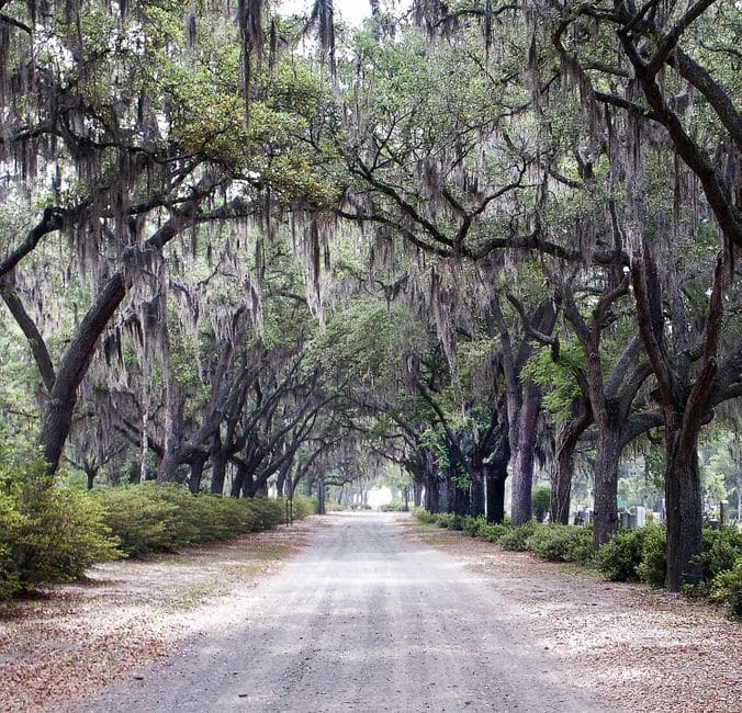 Oak Grove Cemetery, Marietta, Best Things To Do