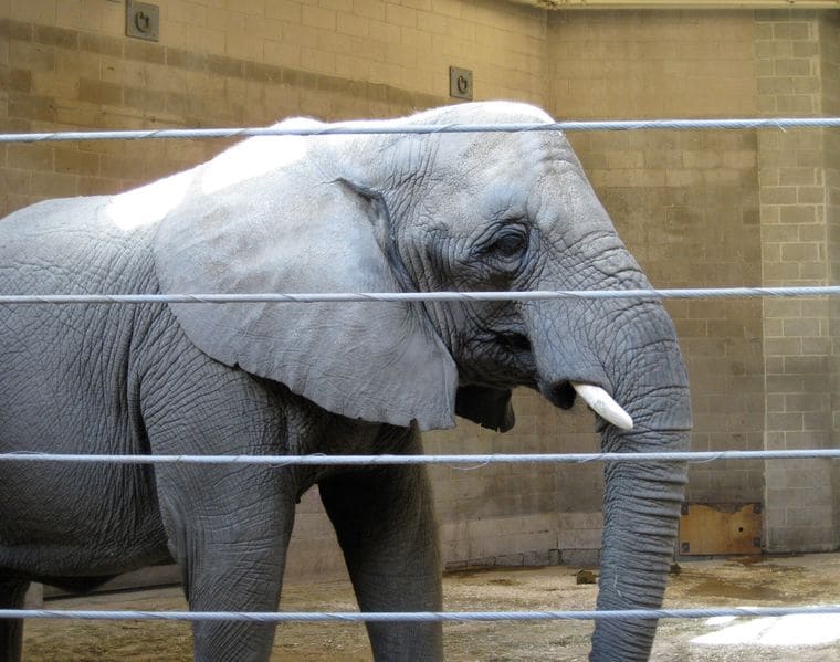 Roger Williams Park Zoo