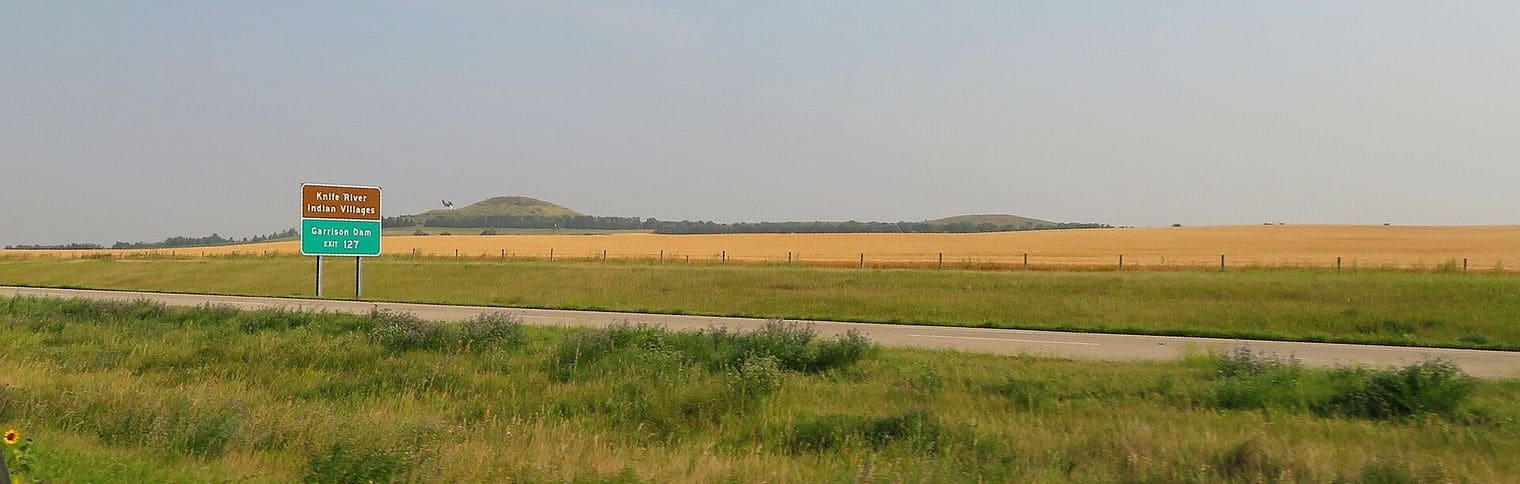 Sandy – The World’s Largest Sandhill Crane, Bismarck, North Dakota