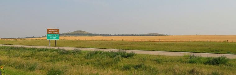 Sandy – The World’s Largest Sandhill Crane