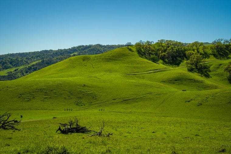 Sibley Volcanic Regional Reserve