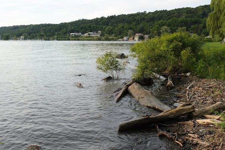 Stewart Park