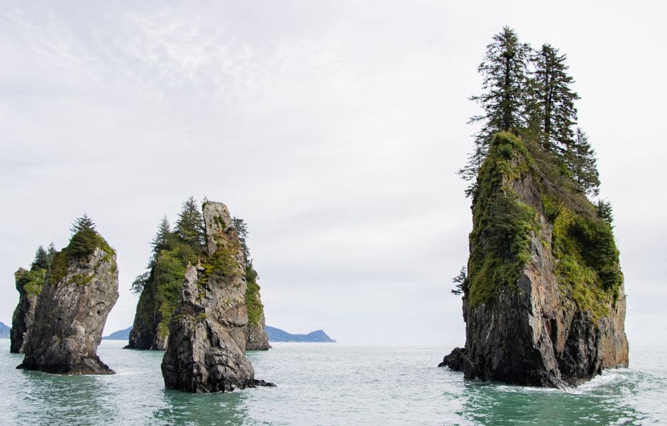 Stoney Creek Canopy Adventures, Seward, Alaska