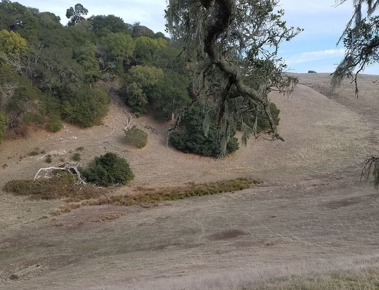 Taylor Mountain Regional Park, Santa Rosa, California