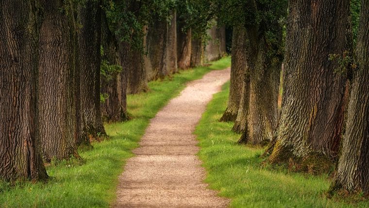 Tweetsie Trail
