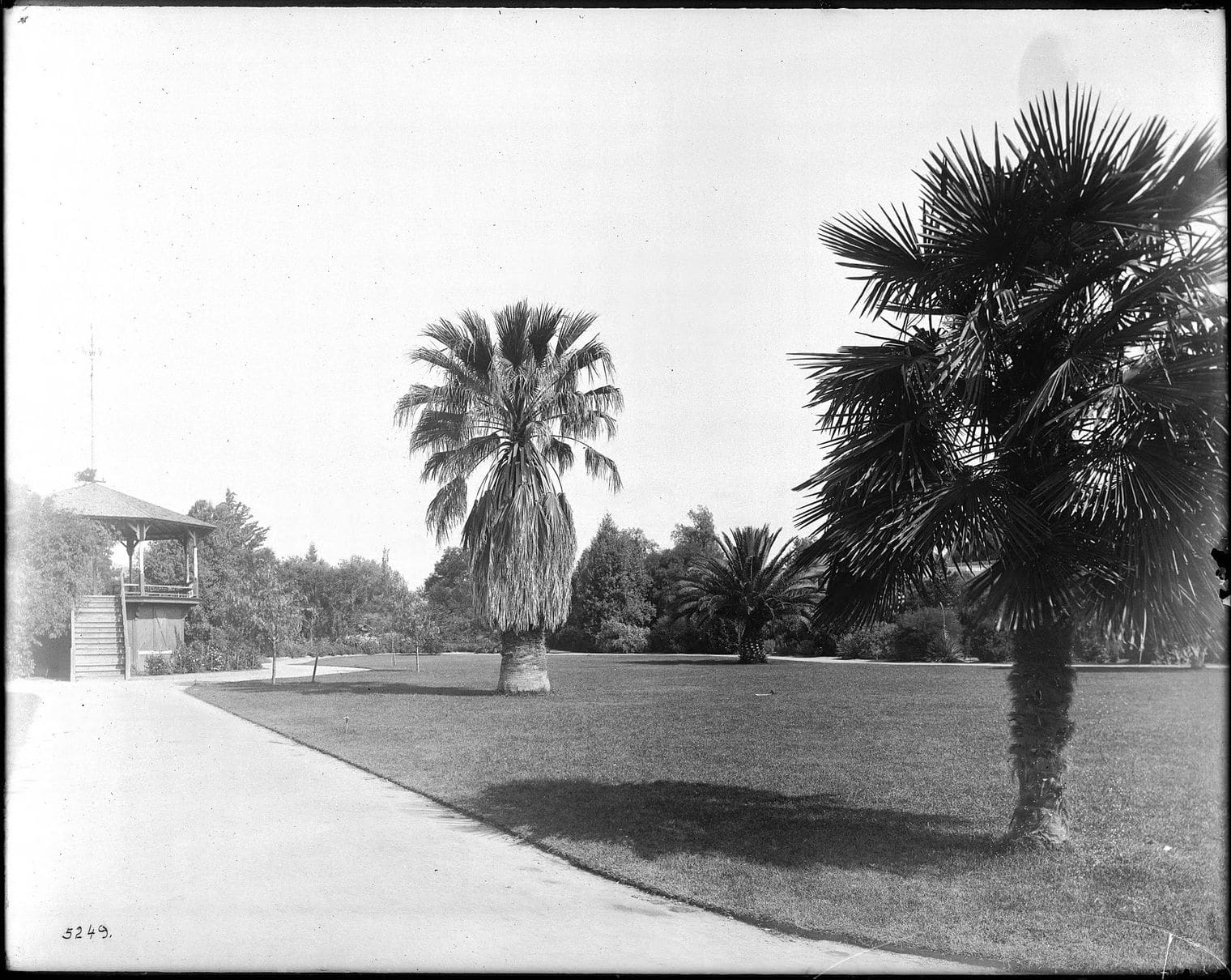 White Park, Riverside, California