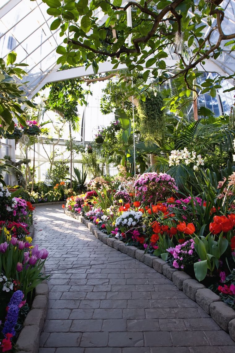 W.W. Seymour Botanical Conservatory