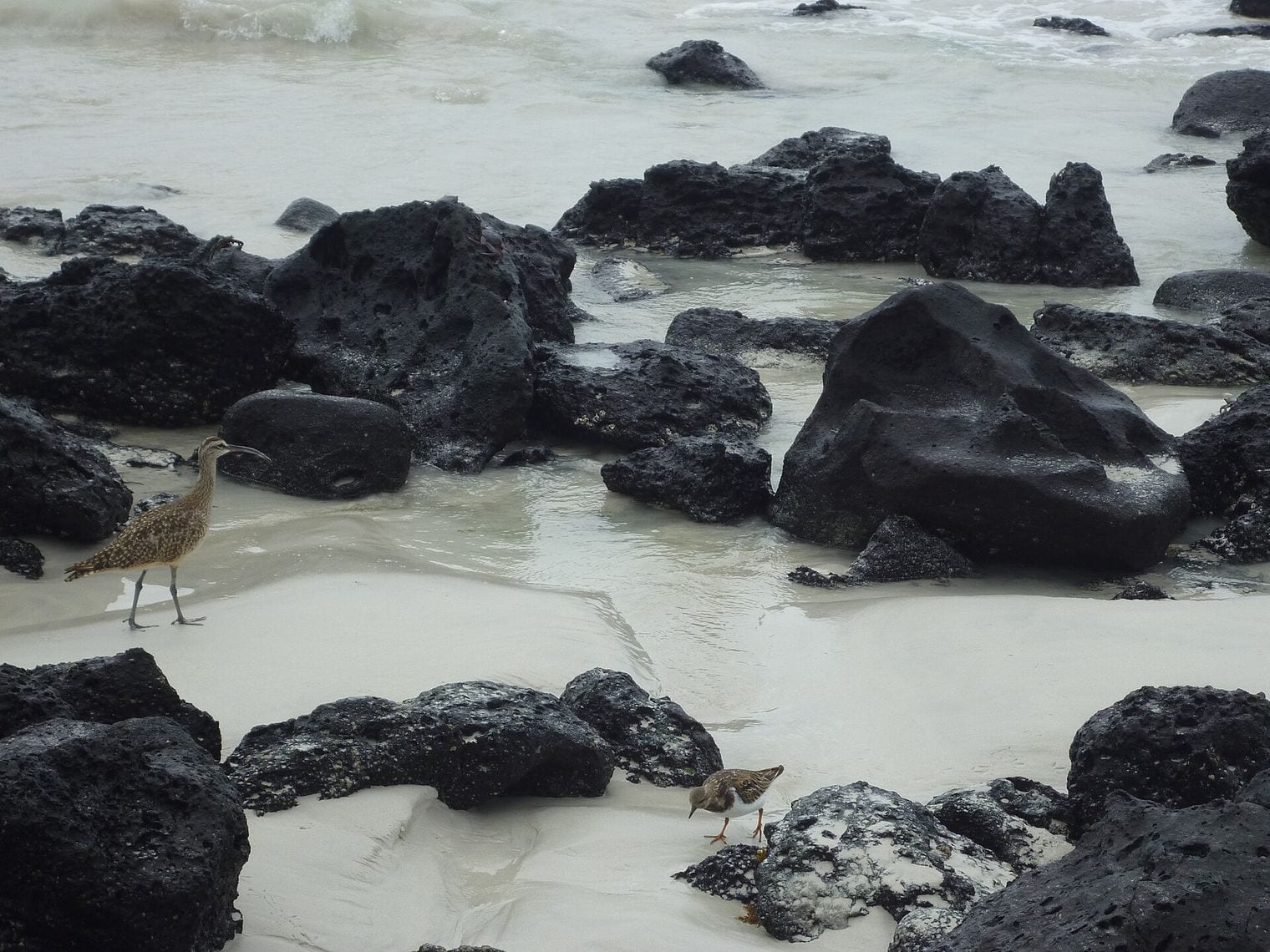Galápagos Islands, World