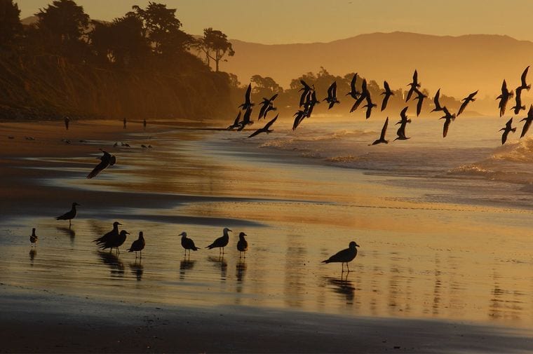 Hilton Santa Barbara Beachfront Resort