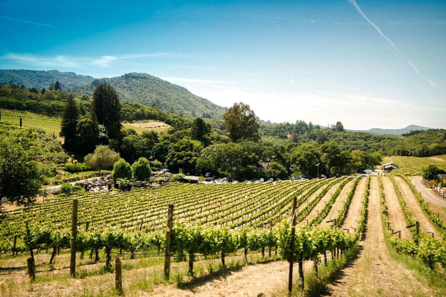 Sonoma County