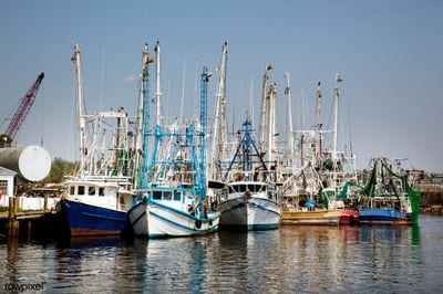 Bayou La Batre