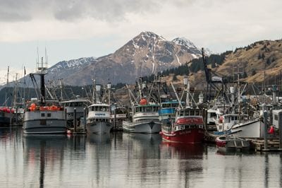 Kodiak