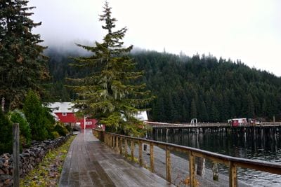 Hoonah