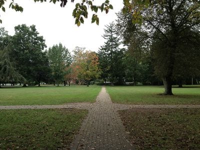 Madison