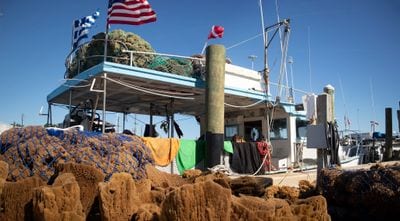 Tarpon Springs