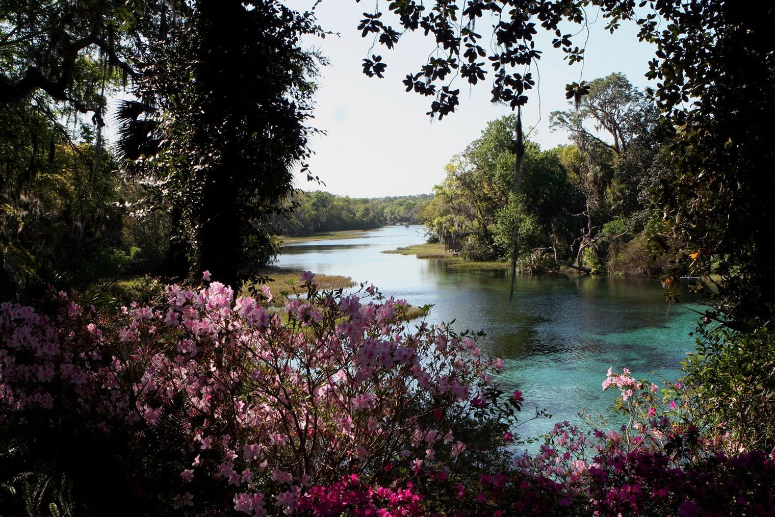 Dunnellon, Florida