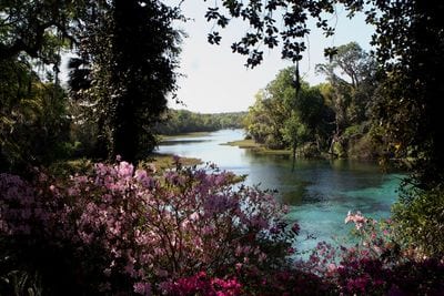 Dunnellon
