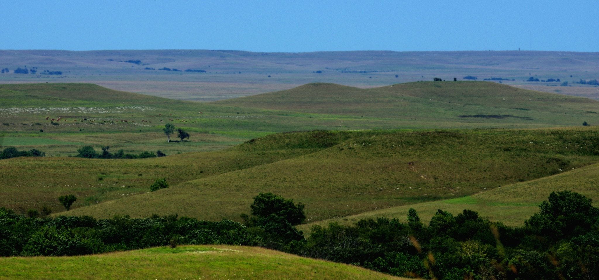 Rolling green Flint Hills grassland under a blue sky near Cassoday, Kansas