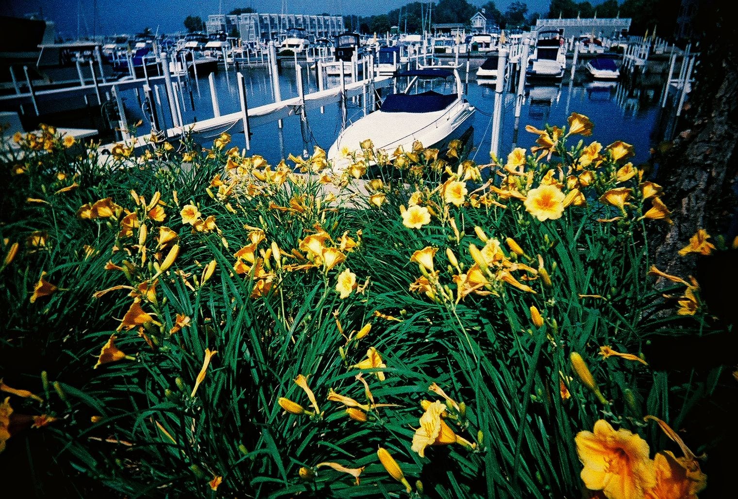 New Buffalo, Michigan
