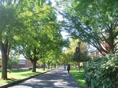 Selinsgrove