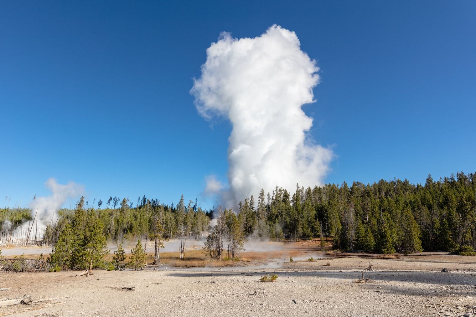 Steamboat Geyser, World